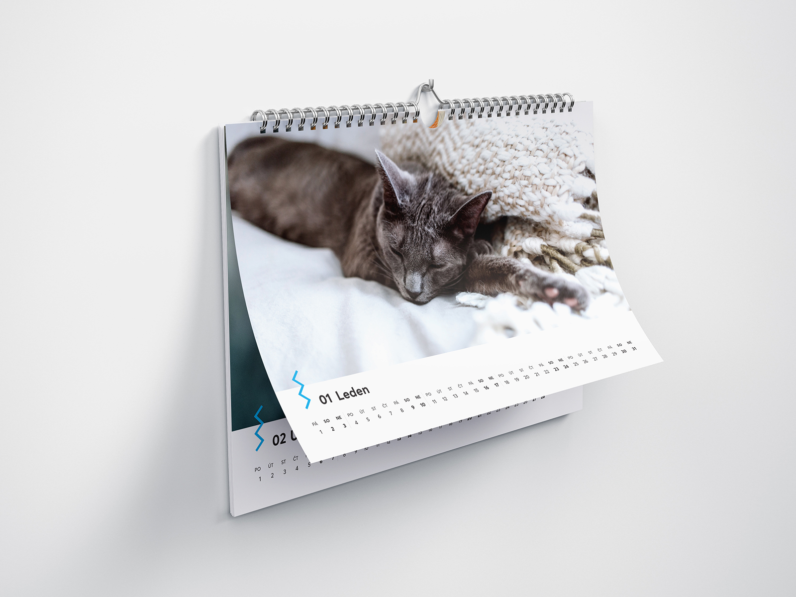 Kalendáře pro kočičí útulky 2021