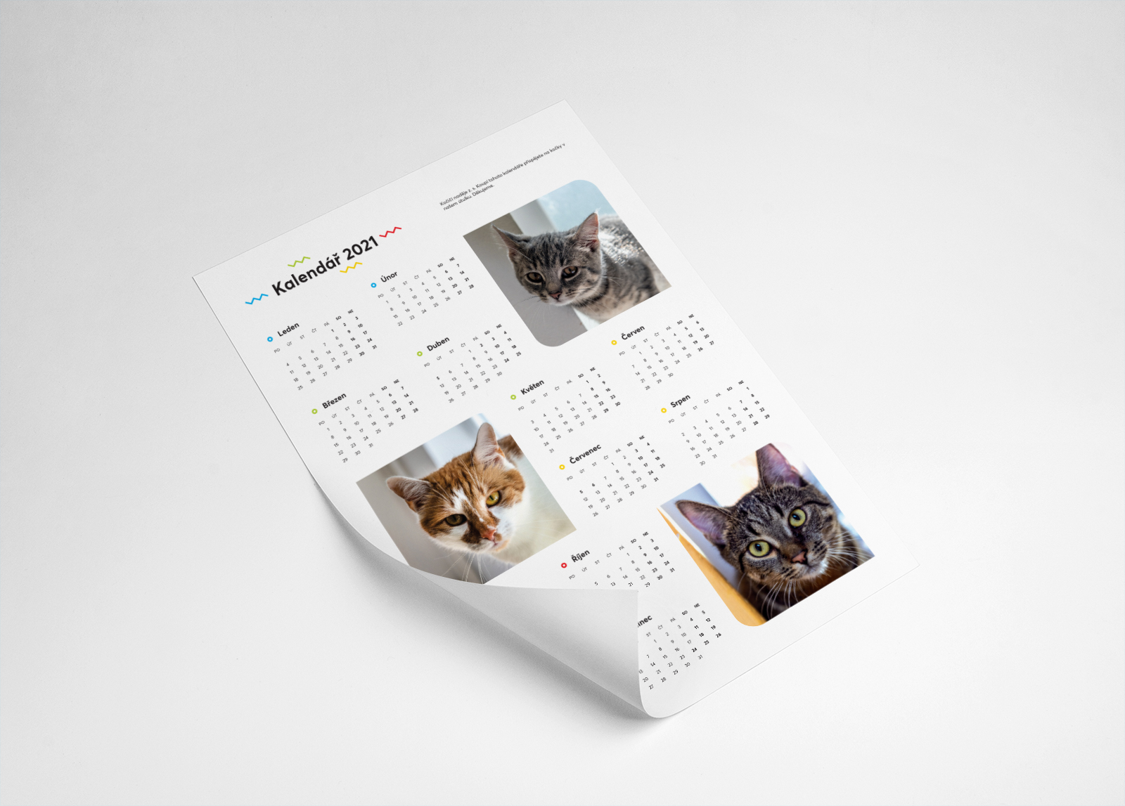 Kalendáře pro kočičí útulky 2021