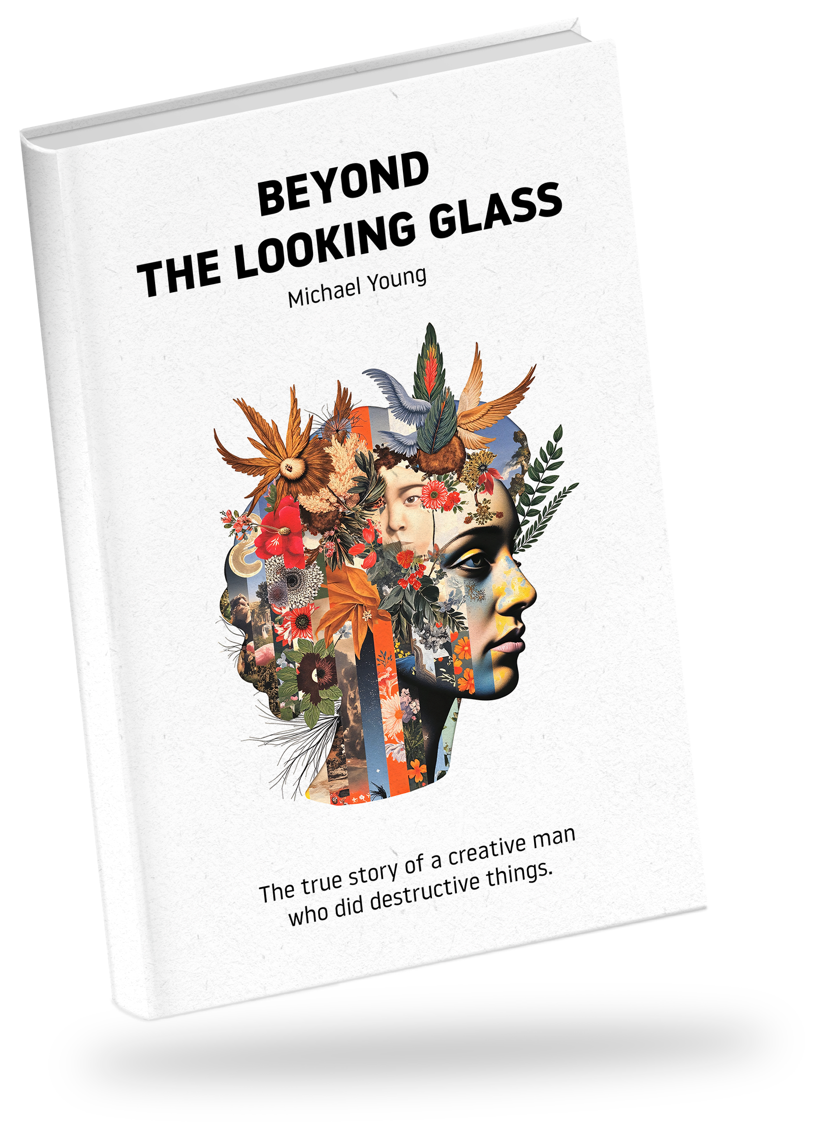 Beyond the looking glass e-book cover