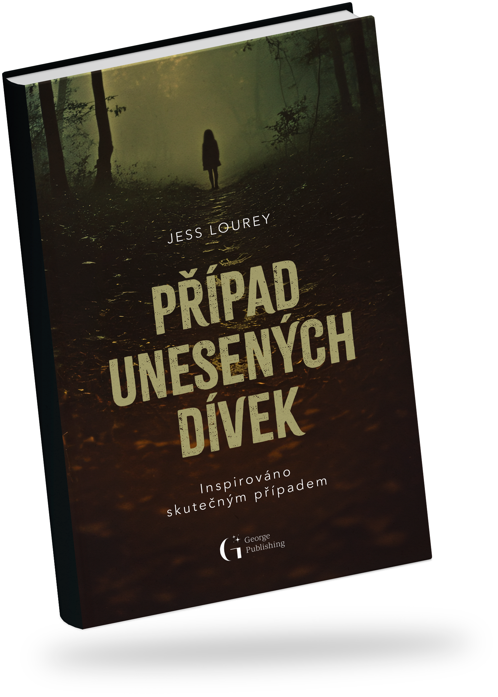 Případ unesených dívek Jess Lourey book cover